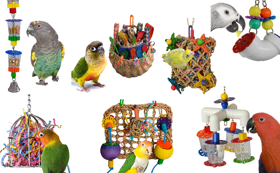 Foraging Toys